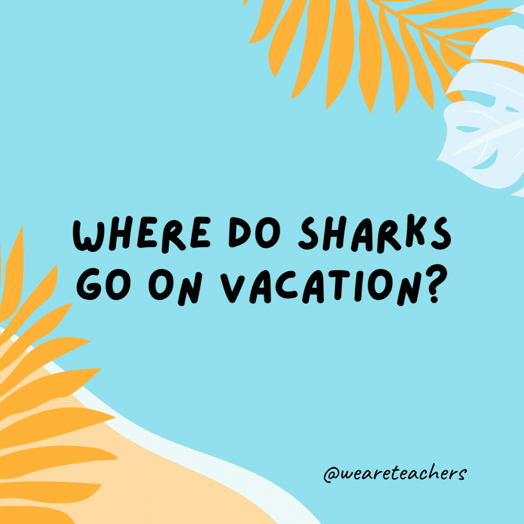 38 Super Silly Summer Jokes for Kids Where do sharks go on vacation? Finland.- funny summer jokes for kids