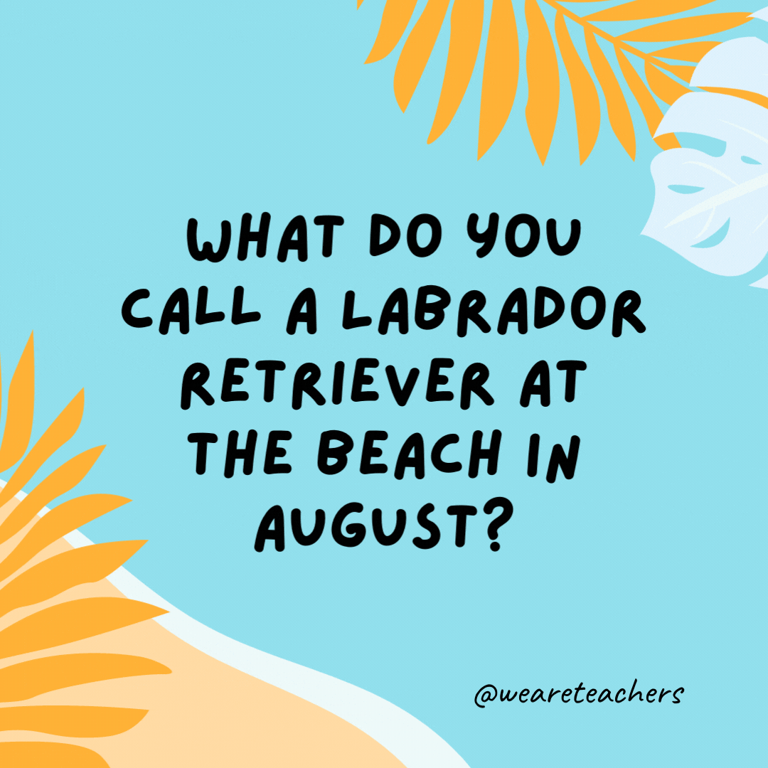 38 Super Silly Summer Jokes for Kids What do you call a Labrador retriever at the beach in August? A hot dog.- funny summer jokes for kids