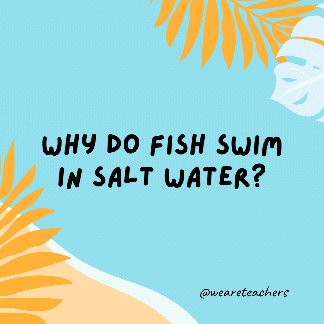 38 Super Silly Summer Jokes for Kids Why do fish swim in salt water? Because pepper water would make them sneeze.- funny summer jokes for kids