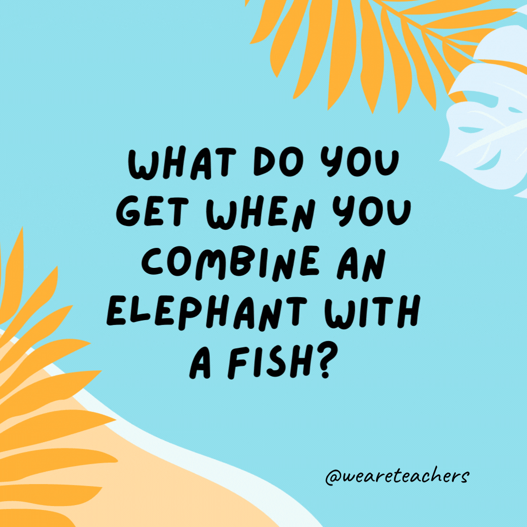 38 Super Silly Summer Jokes for Kids What do you get when you combine an elephant with a fish? Swimming trunks.- funny summer jokes for kids