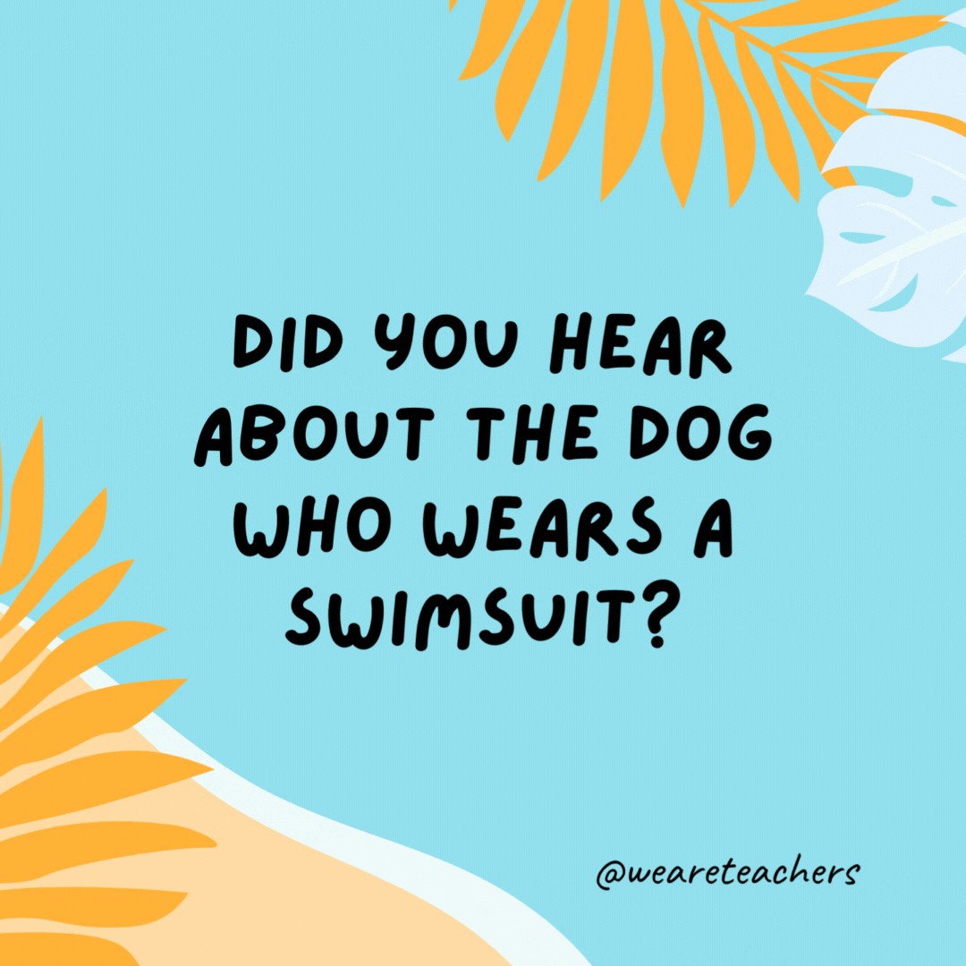Did you hear about the dog who wears a swimsuit? Apparently, it looks quite fetching. Did you hear about the dog who wears a swimsuit?
Apparently, it looks quite fetching.