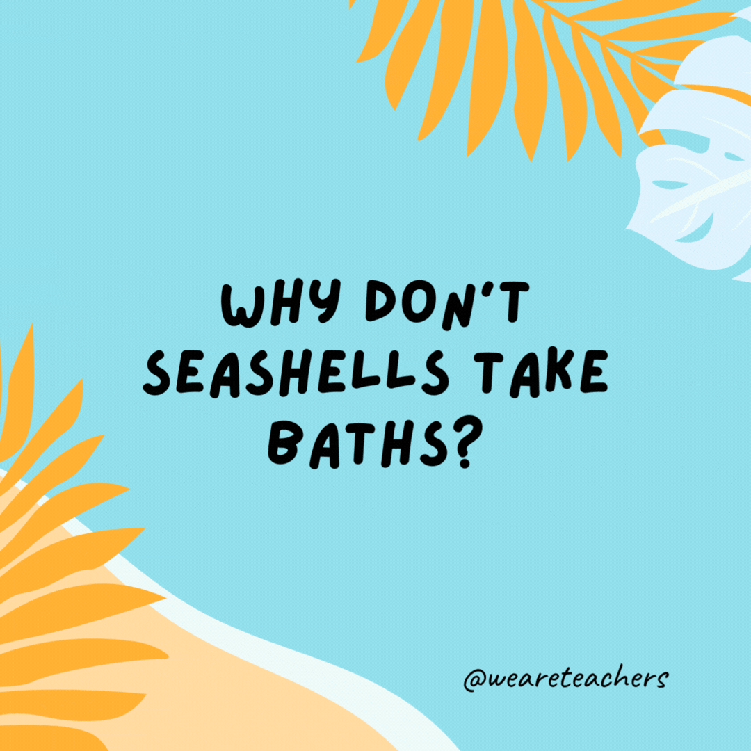 Why don’t seashells take baths? Because they wash up on the beach. Why don’t seashells take baths?
Because they wash up on the beach.- funny summer jokes for kids