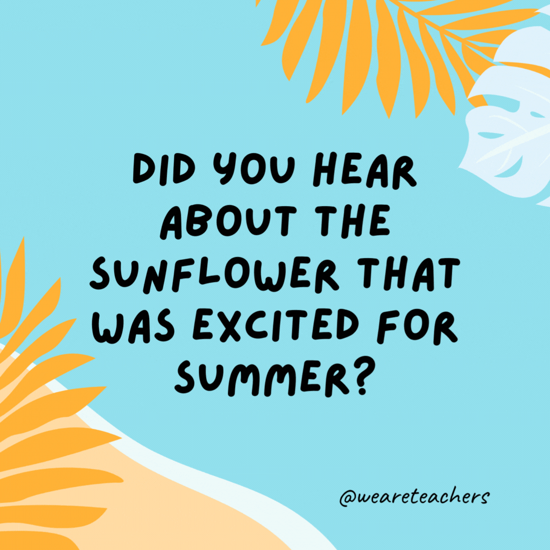 Did you hear about the sunflower that was excited for summer? It wet its plants. Did you hear about the sunflower that was excited for summer?
It wet its plants.- funny summer jokes for kids