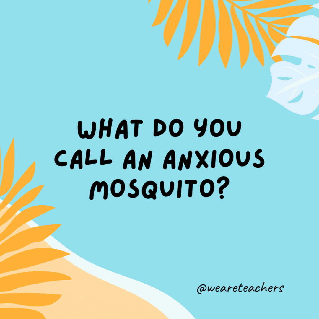 What do you call an anxious mosquito? A jitterbug. What do you call an anxious mosquito?
A jitterbug.
