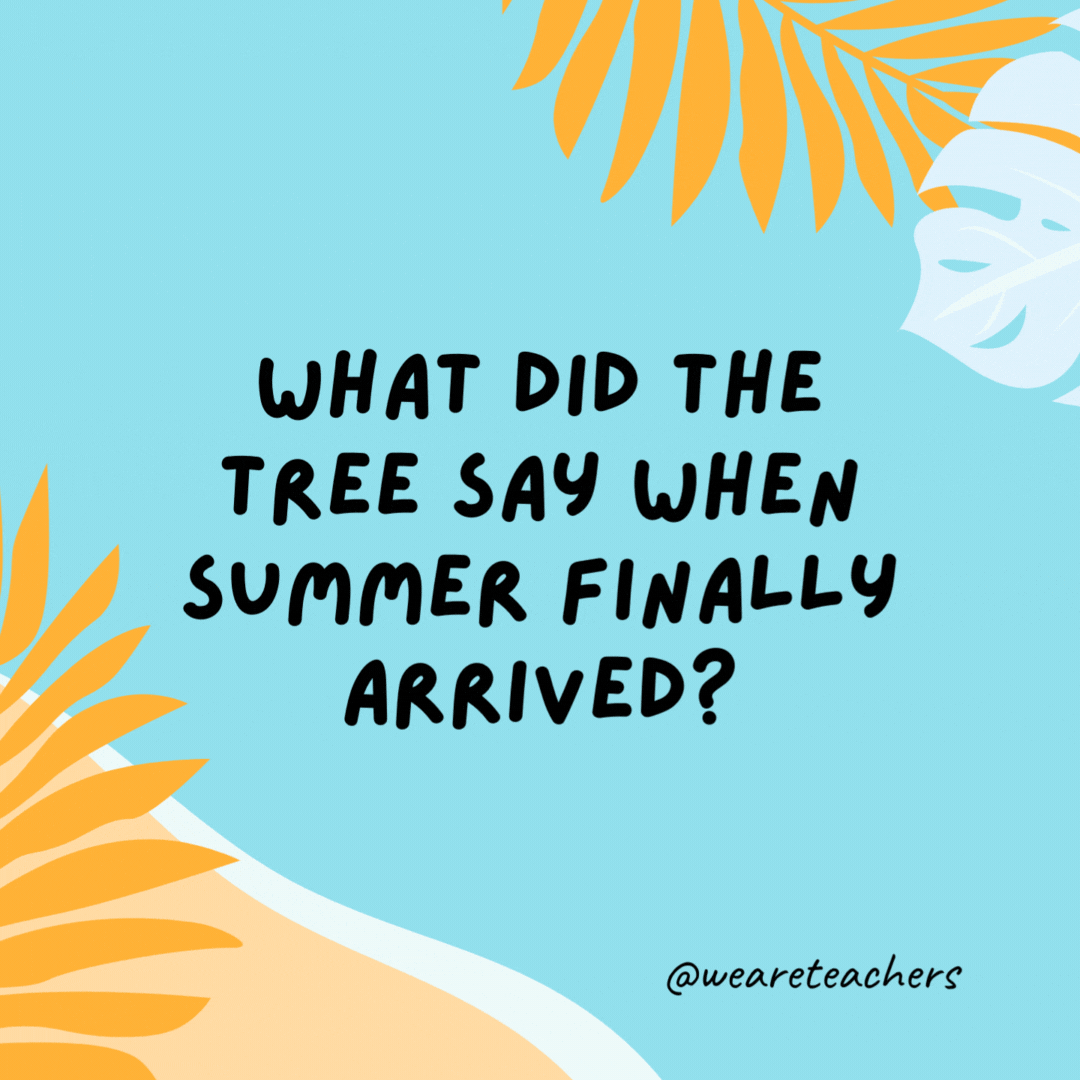 What did the tree say when summer finally arrived? What a re-leaf. What did the tree say when summer finally arrived?
What a re-leaf.