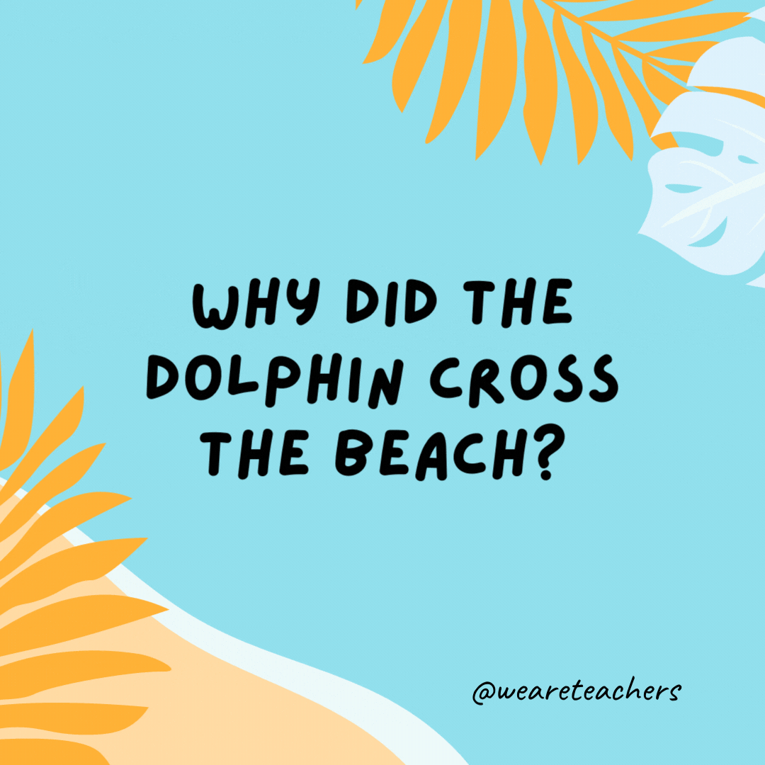 38 Super Silly Summer Jokes for Kids Why did the dolphin cross the beach? To get to the other tide.- funny summer jokes for kids