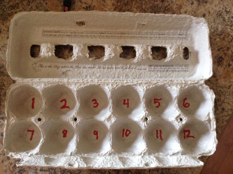 egg-carton egg carton with numbers written on it