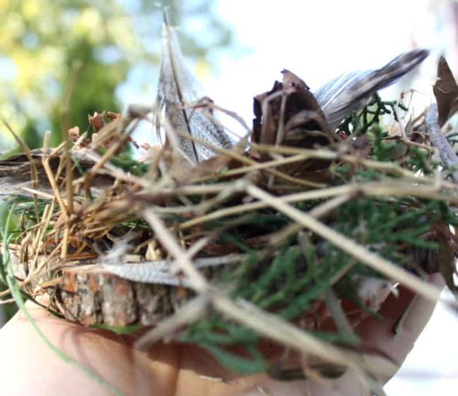 Outdoor Science Activities: Nest Small nest built from sticks, yarn, feathers, and more