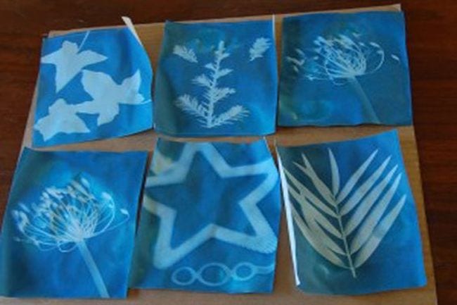 Outdoor Science Sunprints Sunprints of nature objects