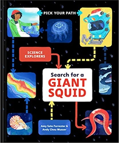 Book cover for Search for a Giant Squid