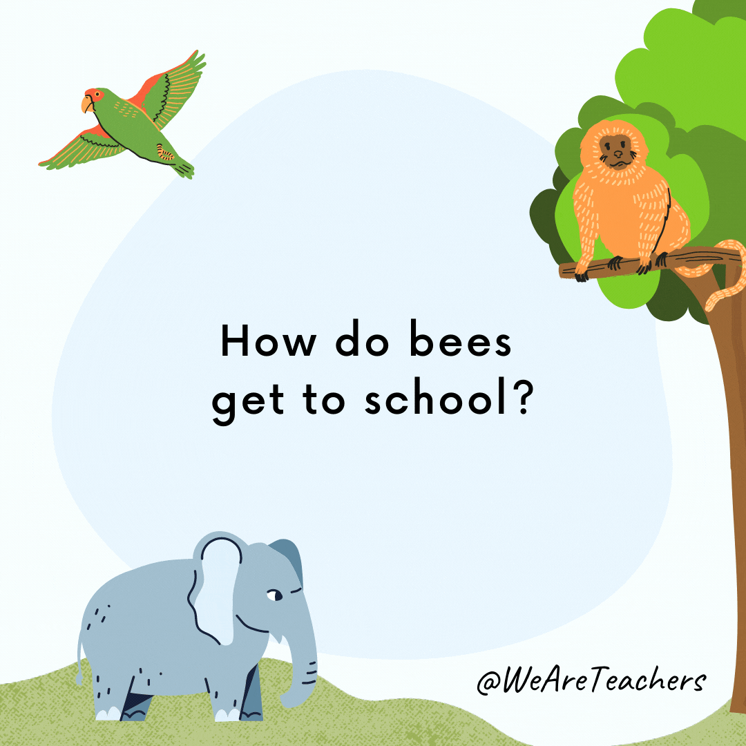 25 Hoot-larious Animal Jokes for Kids How do bees get to school? By school buzz!- animal jokes for kids