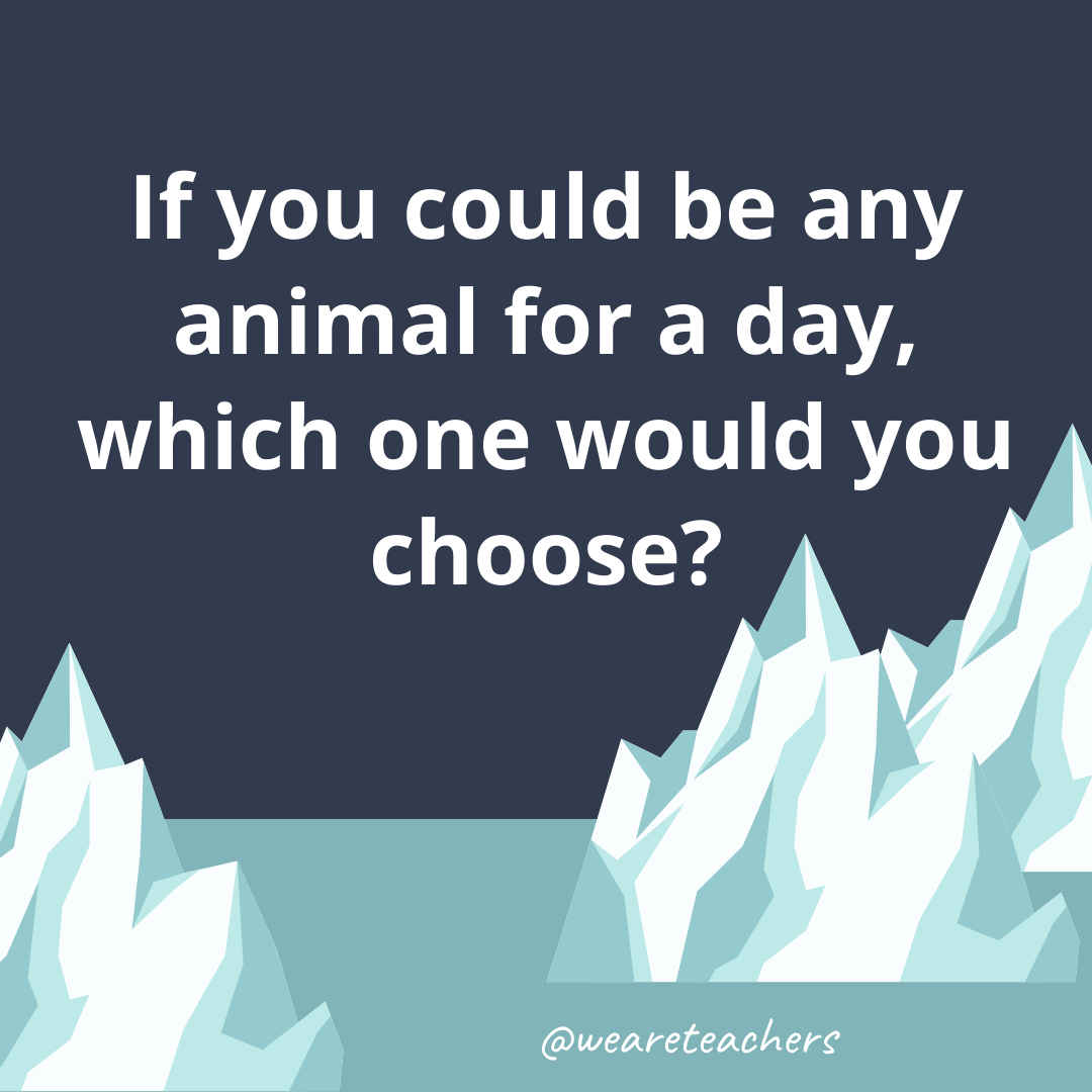 If you could be any animal for a day, which one would you choose? If you could be any animal for a day, which one would you choose?- fun icebreaker questions