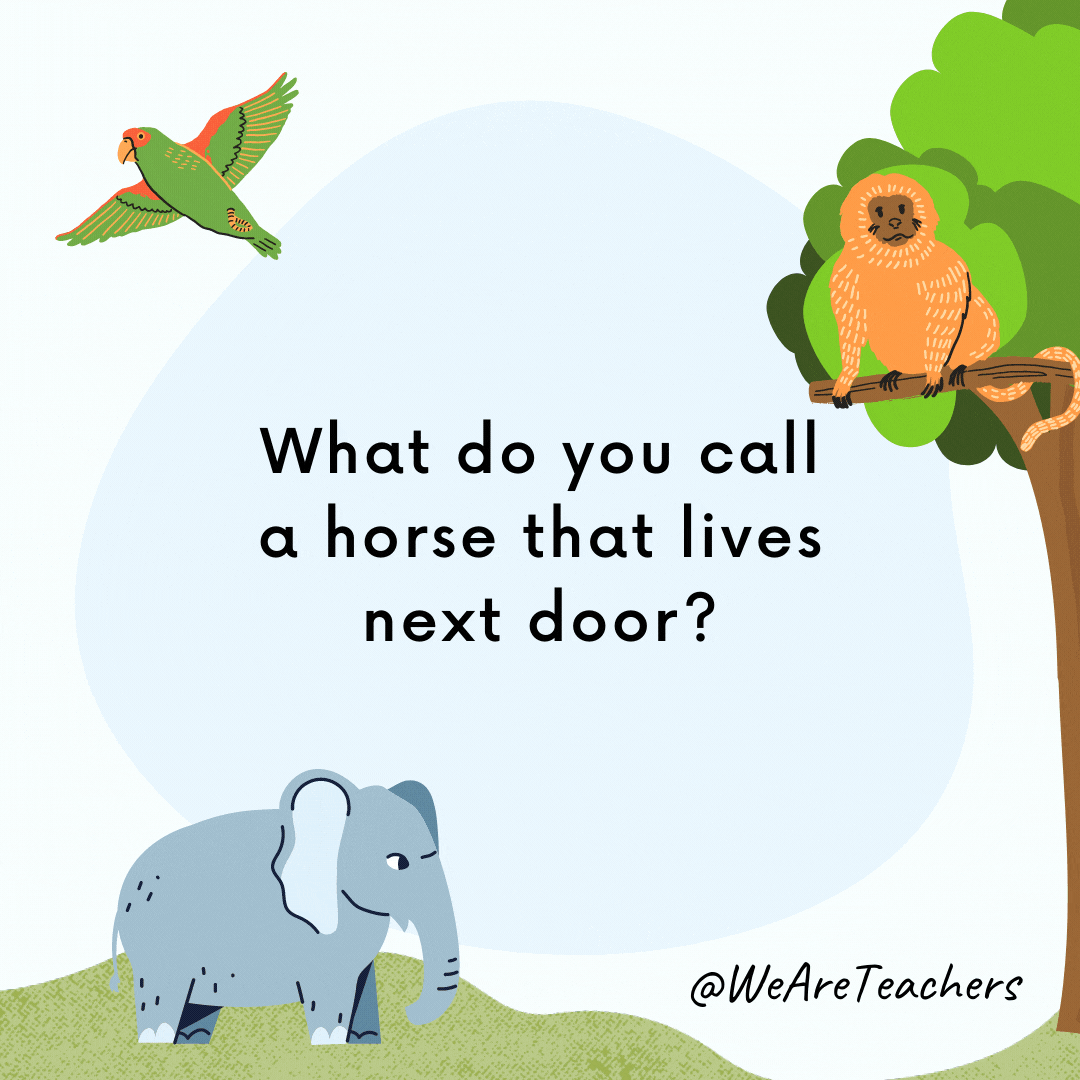 25 Hoot-larious Animal Jokes for Kids What do you call a horse that lives next door? A neigh-bor.