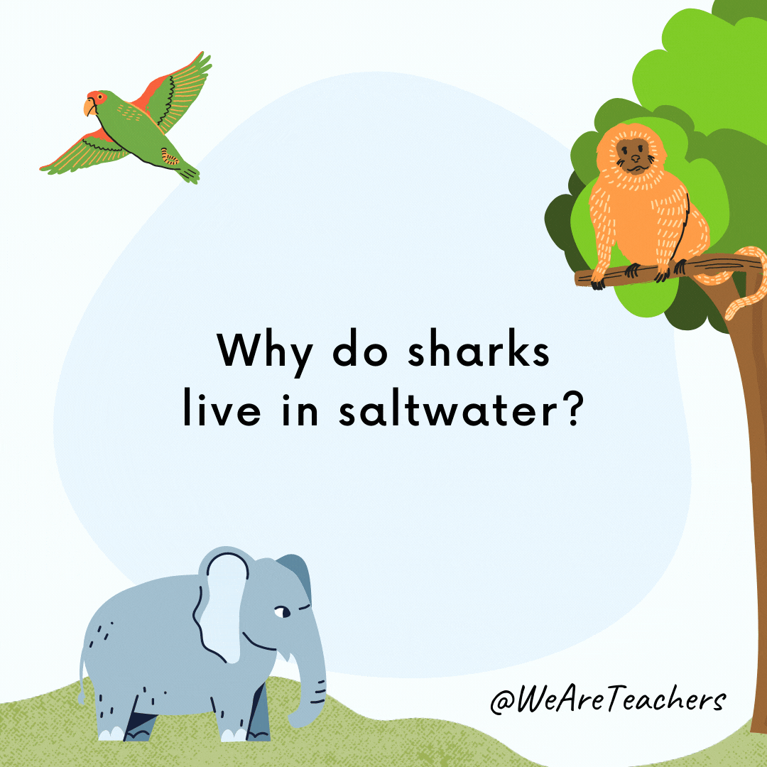 25 Hoot-larious Animal Jokes for Kids Why do sharks live in saltwater? Because pepper makes them sneeze!- animal jokes