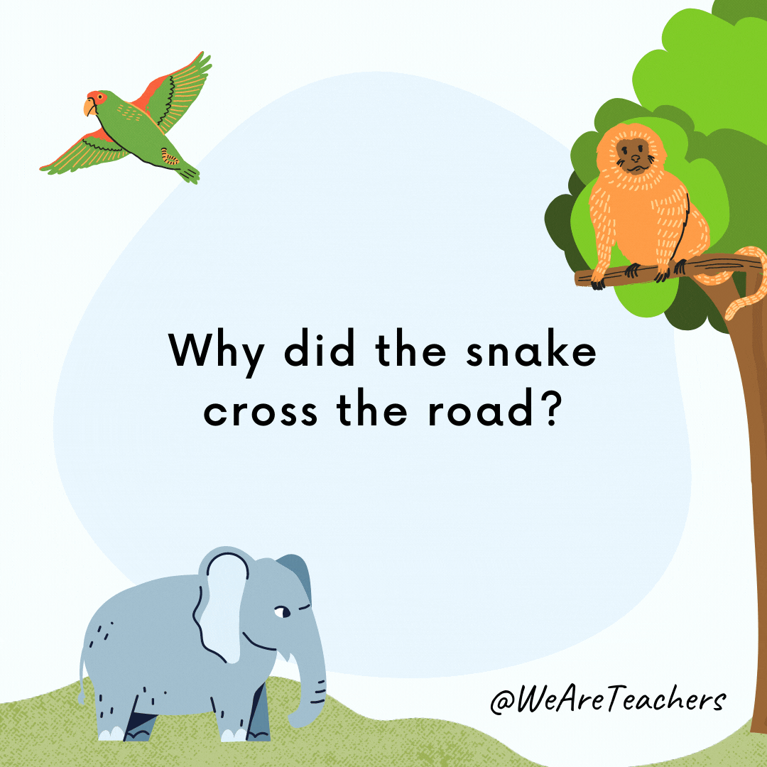 25 Hoot-larious Animal Jokes for Kids Why did the snake cross the road? To get to the other ssssssside!- animal jokes