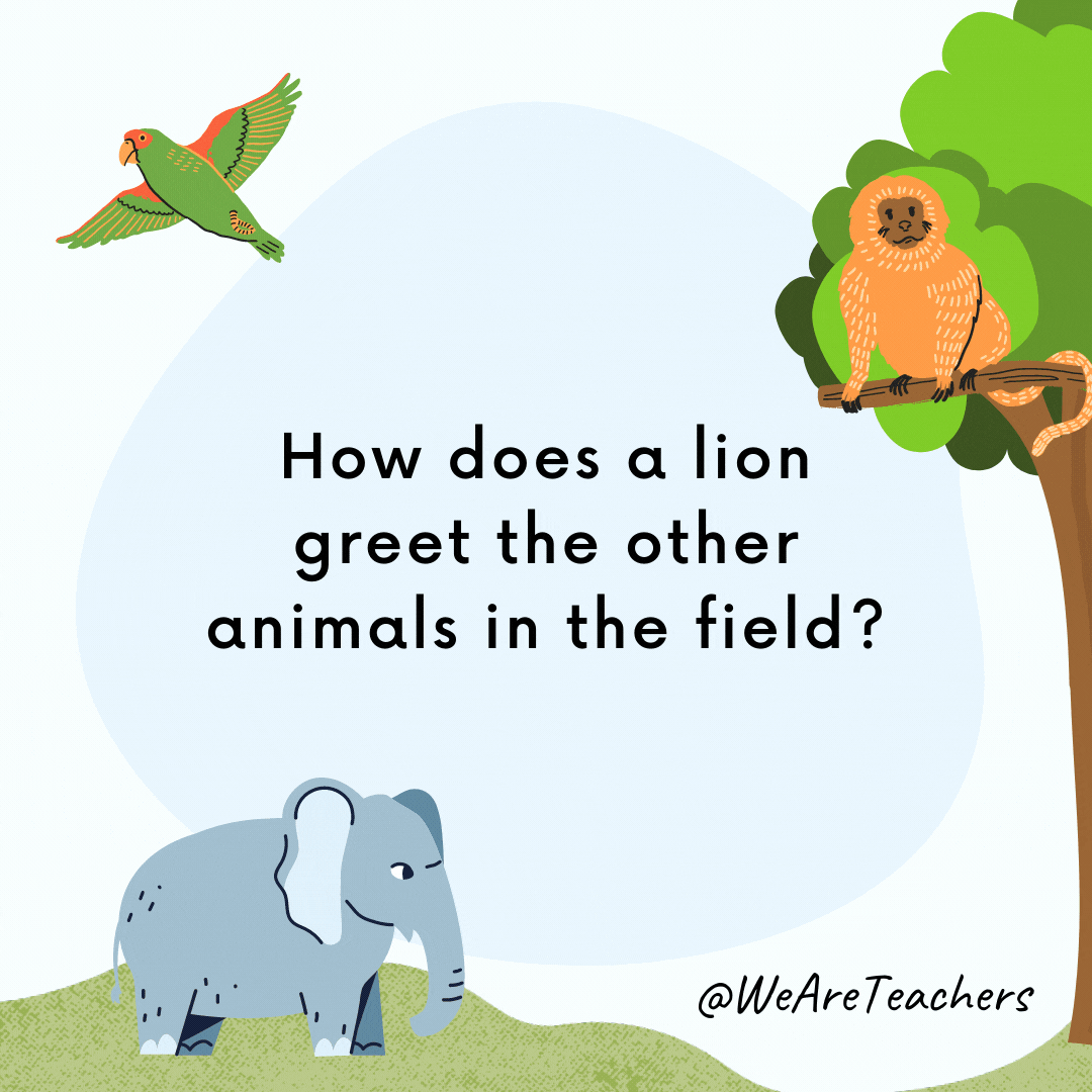 25 Hoot-larious Animal Jokes for Kids How does a lion greet the other animals in the field?