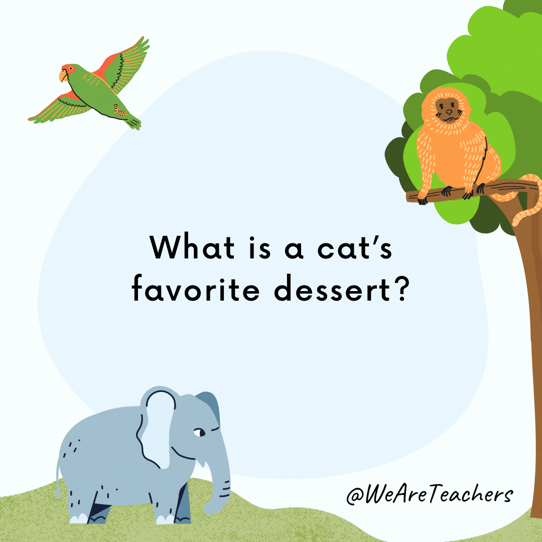 25 Hoot-larious Animal Jokes for Kids What is a cat's favorite dessert? Chocolate mouse.- animal jokes