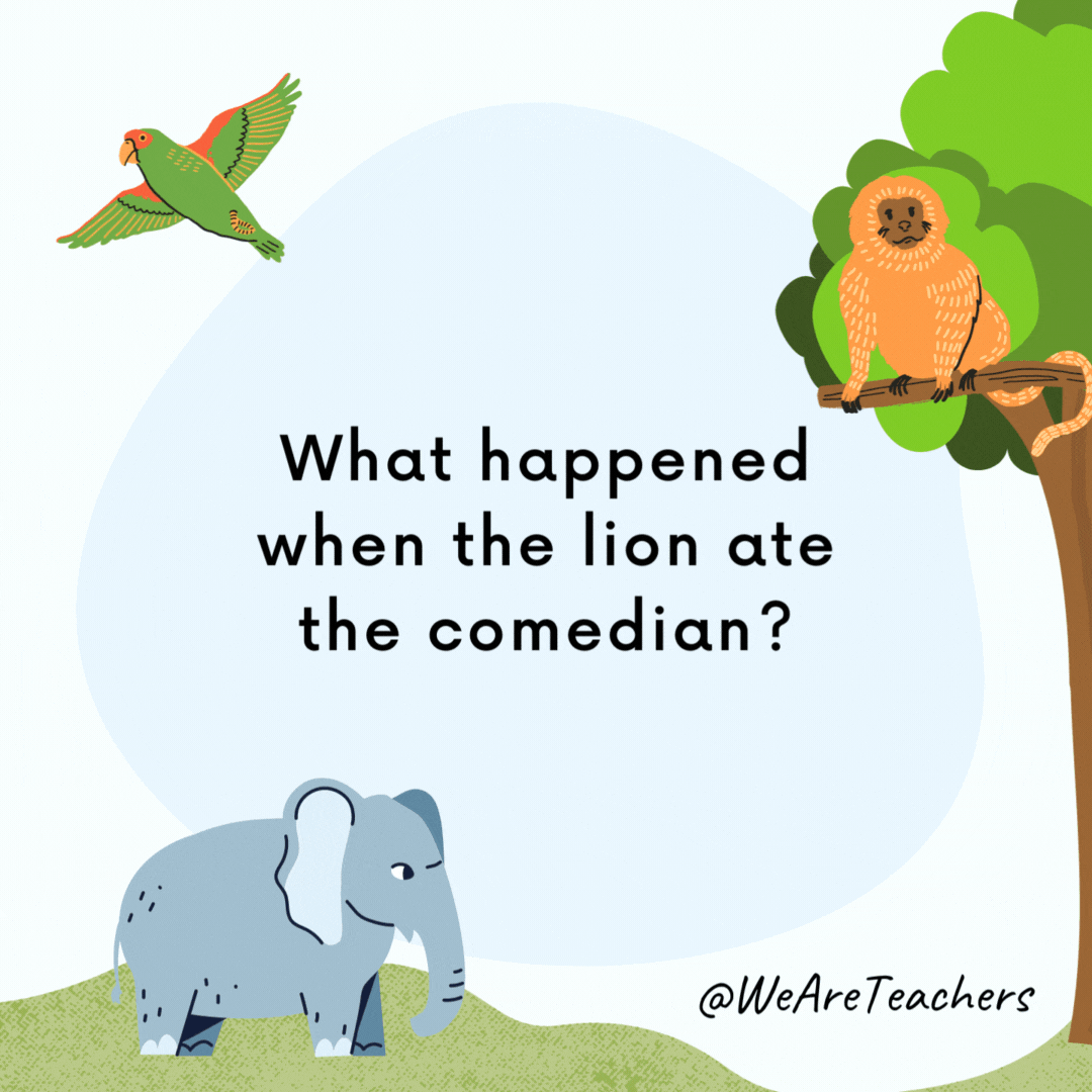 animal-jokes-33 What happened when the lion ate the comedian?
