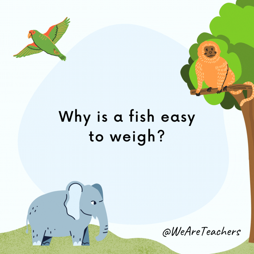 animal-jokes-34 Why is a fish easy to weigh? Example of animal jokes for kids.- animal jokes