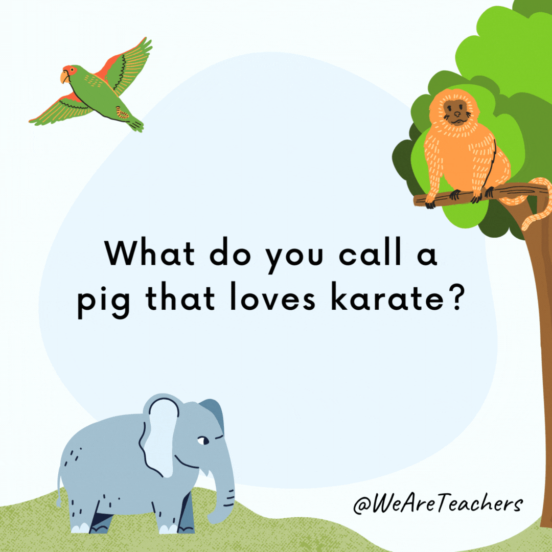What do you call a pig that loves karate? A pork chop. What do you call a pig that loves karate?
A pork chop.