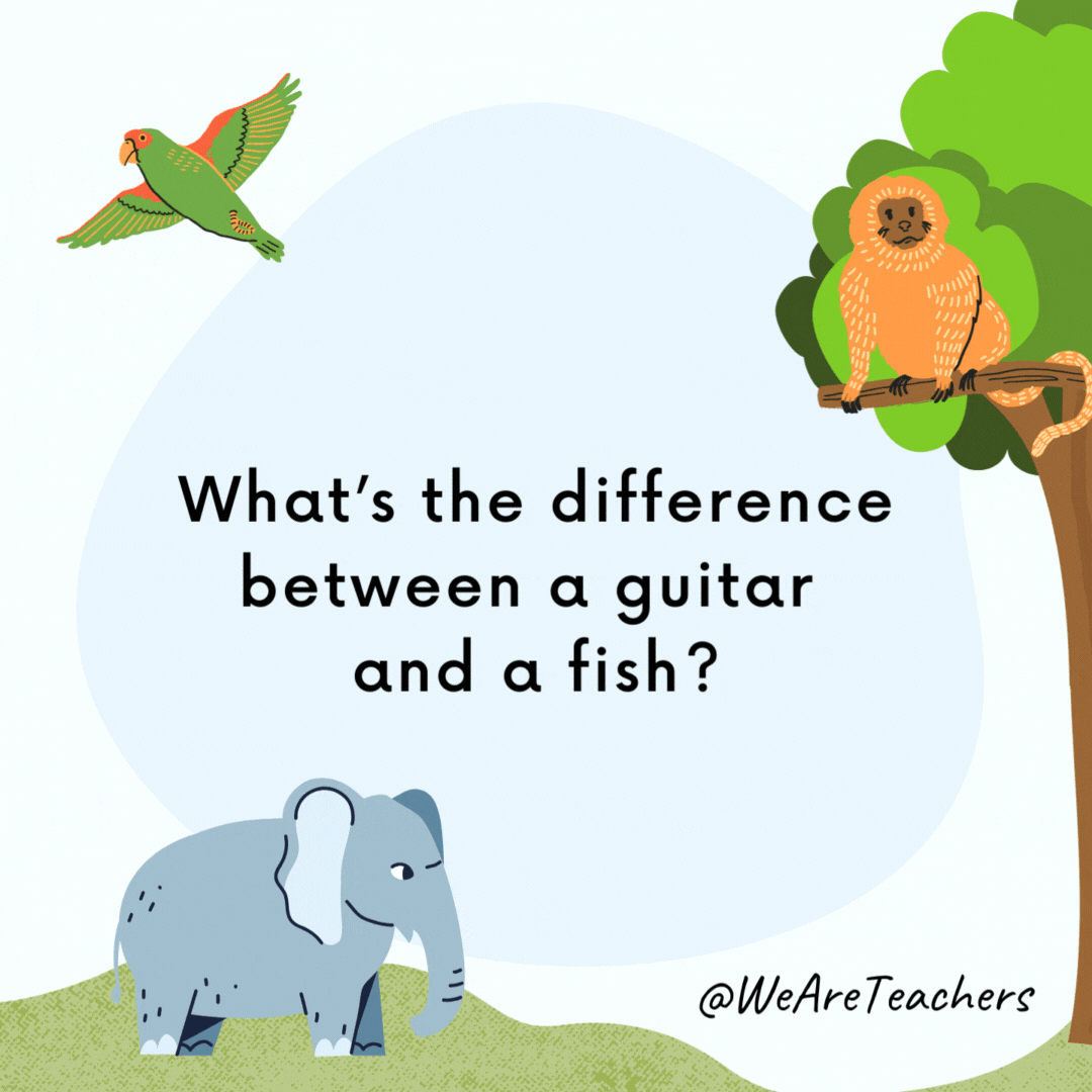 What’s the difference between a guitar and a fish? You can tune a guitar, but you can’t tuna fish. What's the difference between a guitar and a fish?
You can tune a guitar, but you can't tuna fish.- animal jokes