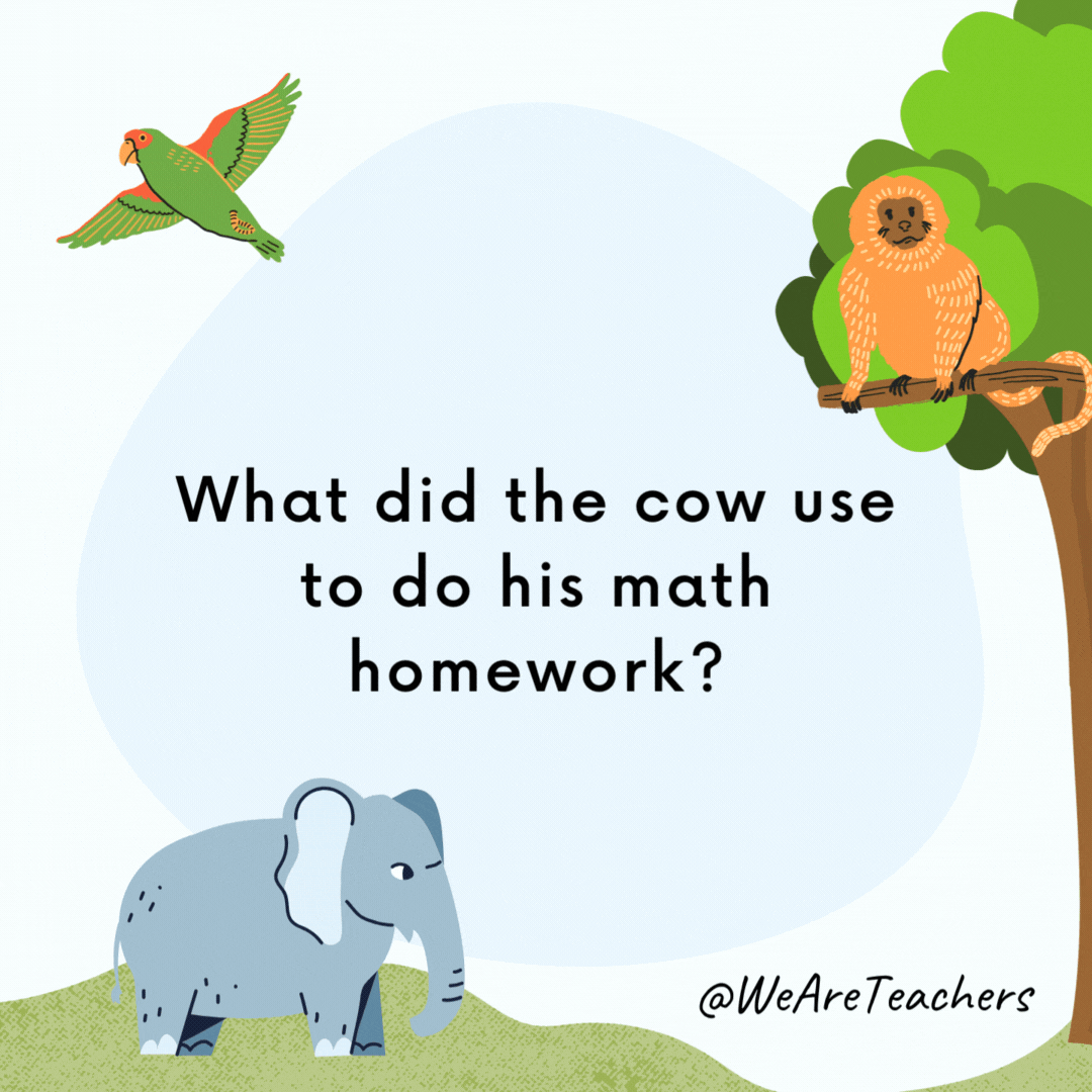What did the cow use to do his math homework? A cow-culator. What did the cow use to do his math homework?
A cow-culator.- animal jokes