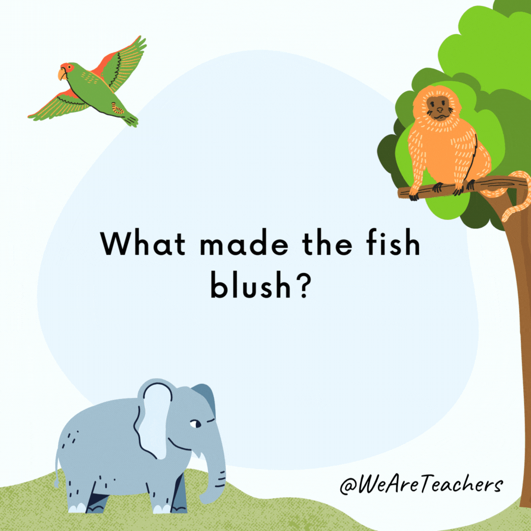 What bird has wings but can’t fly? A dead one. What bird has wings but can’t fly?
A dead one.