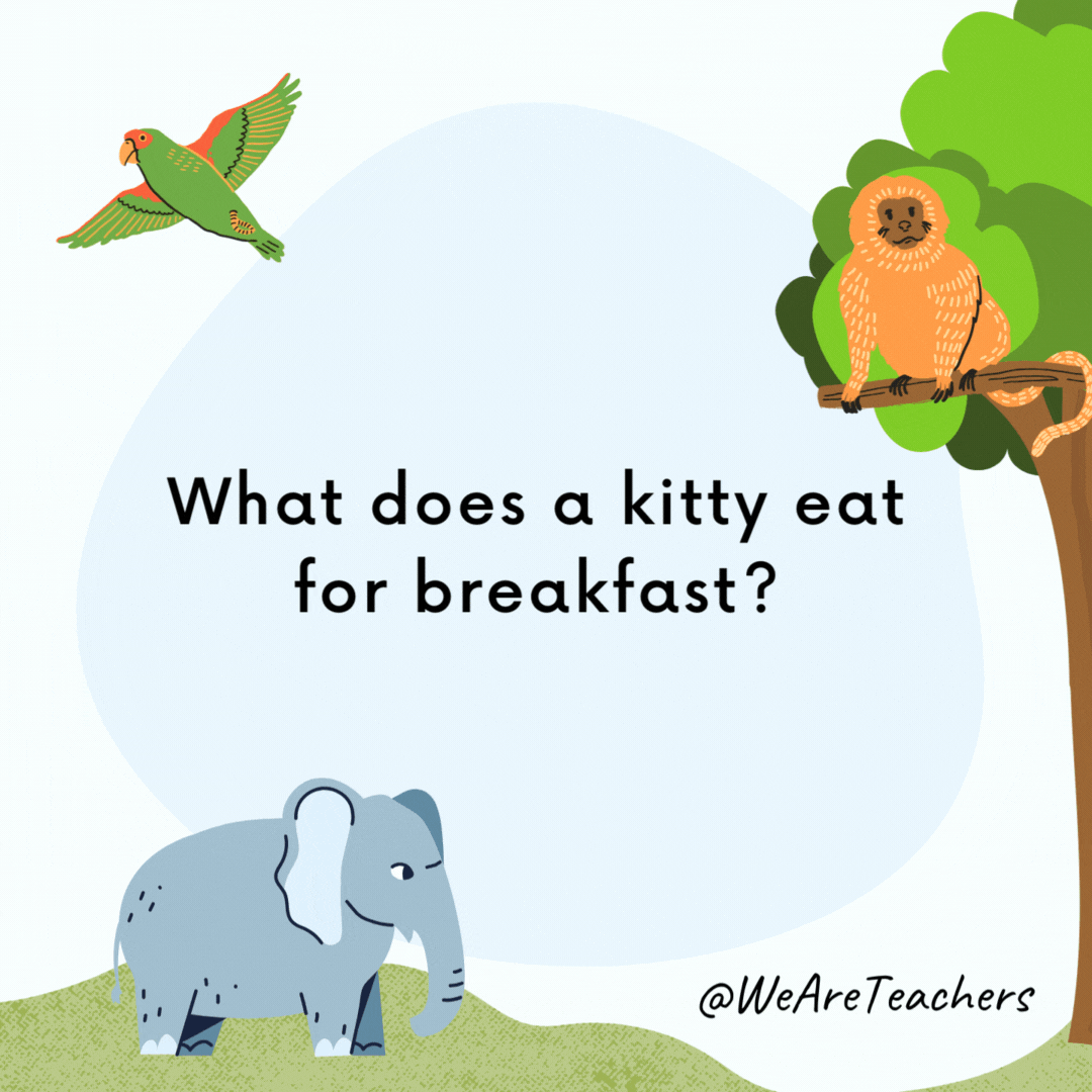 What does a kitty eat for breakfast? Mice Krispies. What does a kitty eat for breakfast?
Mice Krispies.- animal jokes