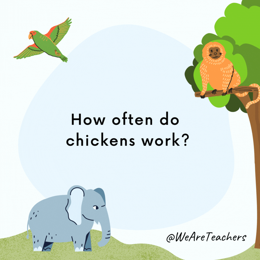 How often do chickens work? Around the cluck. How often do chickens work?
Around the cluck.