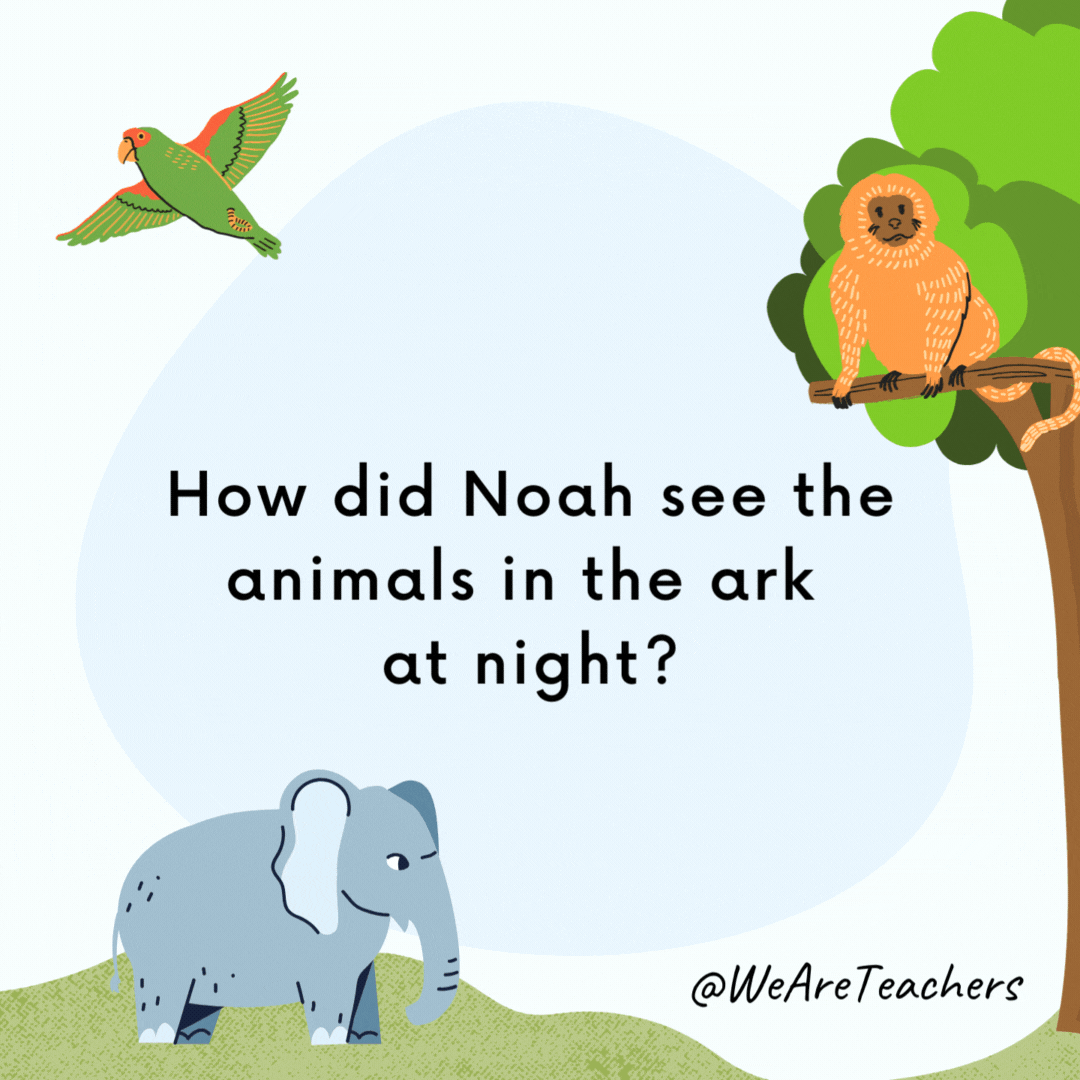 How did Noah see the animals in the ark at night? With a floodlight. How did Noah see the animals in the ark at night?
With a floodlight.- animal jokes