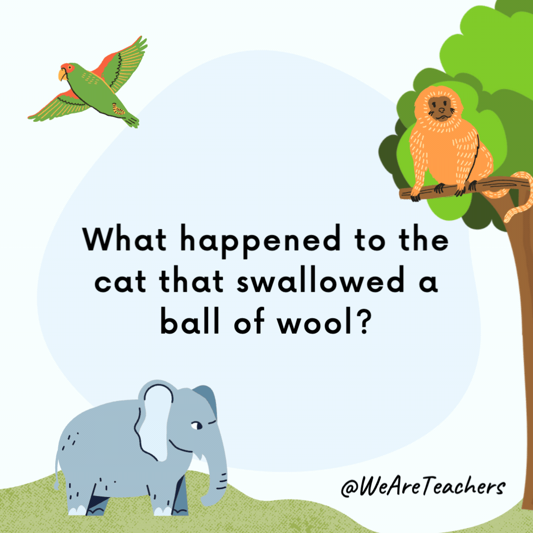 What do you call a gorilla wearing earmuffs? Anything you like. He can’t hear you anyway. What do you call a gorilla wearing earmuffs?
Anything you like. He can't hear you anyway.- animal jokes