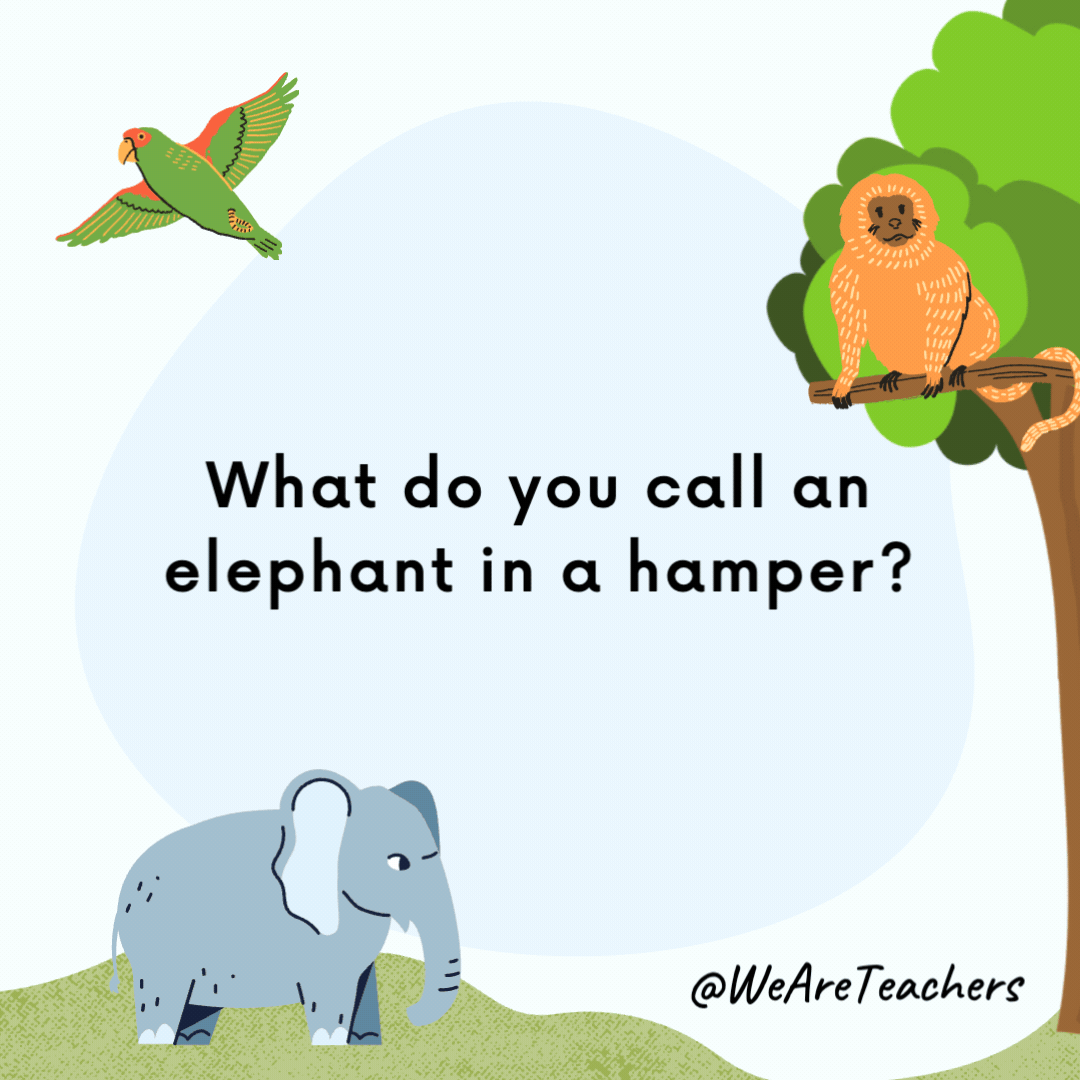 What do you call an elephant in a hamper? Stuck. What do you call an elephant in a hamper?
Stuck.- animal jokes