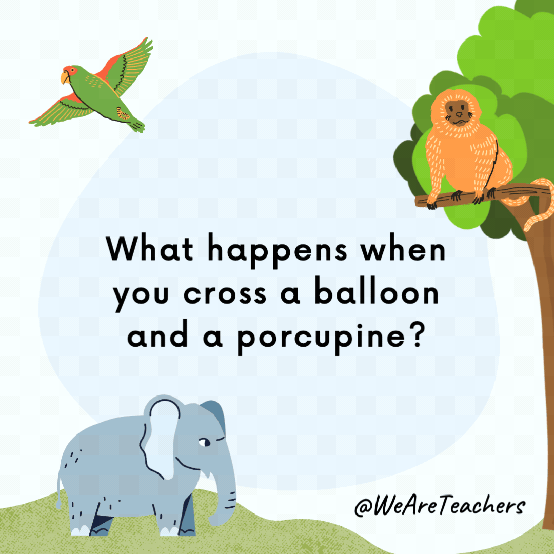 What happens when you cross a balloon and a porcupine? You hear a pop. What happens when you cross a balloon and a porcupine?
You hear a pop.- animal jokes