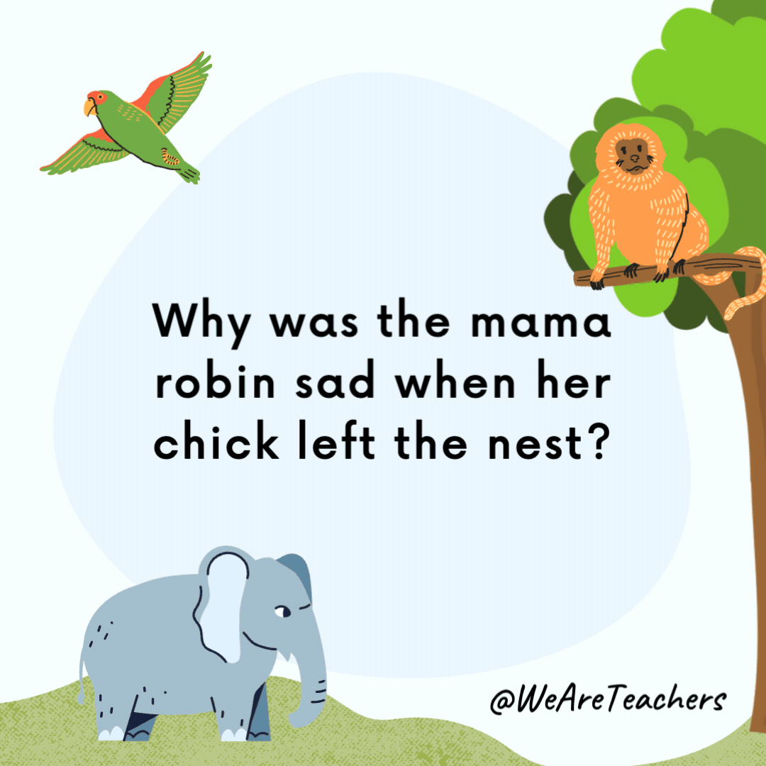 Why was the mama robin sad when her chick left the nest? She had empty-nest syndrome. Why was the mama robin sad when her chick left the nest?
She had empty-nest syndrome.