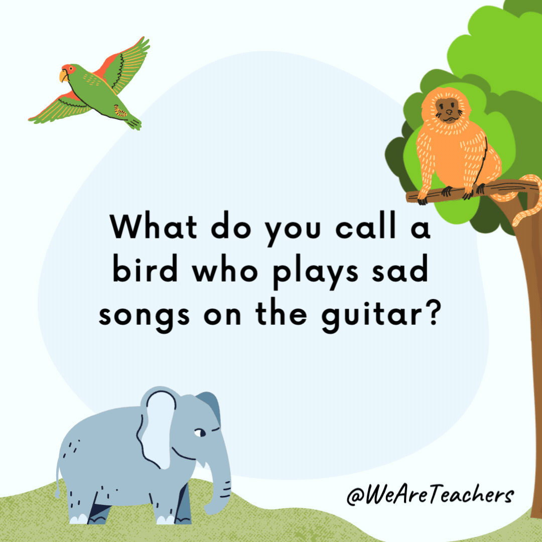 What do you call a bird who plays sad songs on the guitar? A blues jay. What do you call a bird who plays sad songs on the guitar?
A blues jay.- animal jokes