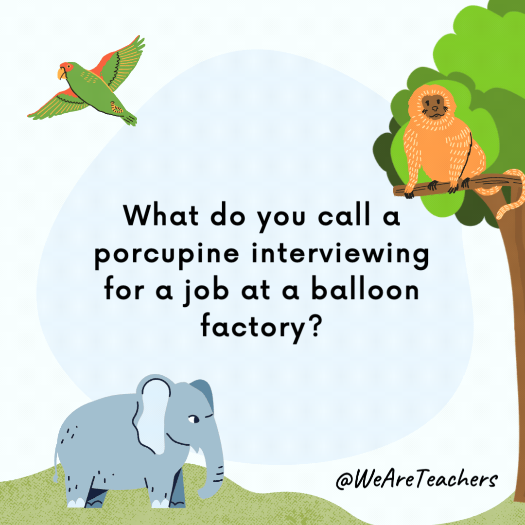 What do you call a porcupine interviewing for a job at a balloon factory? Unemployed. What do you call a porcupine interviewing for a job at a balloon factory?
Unemployed.