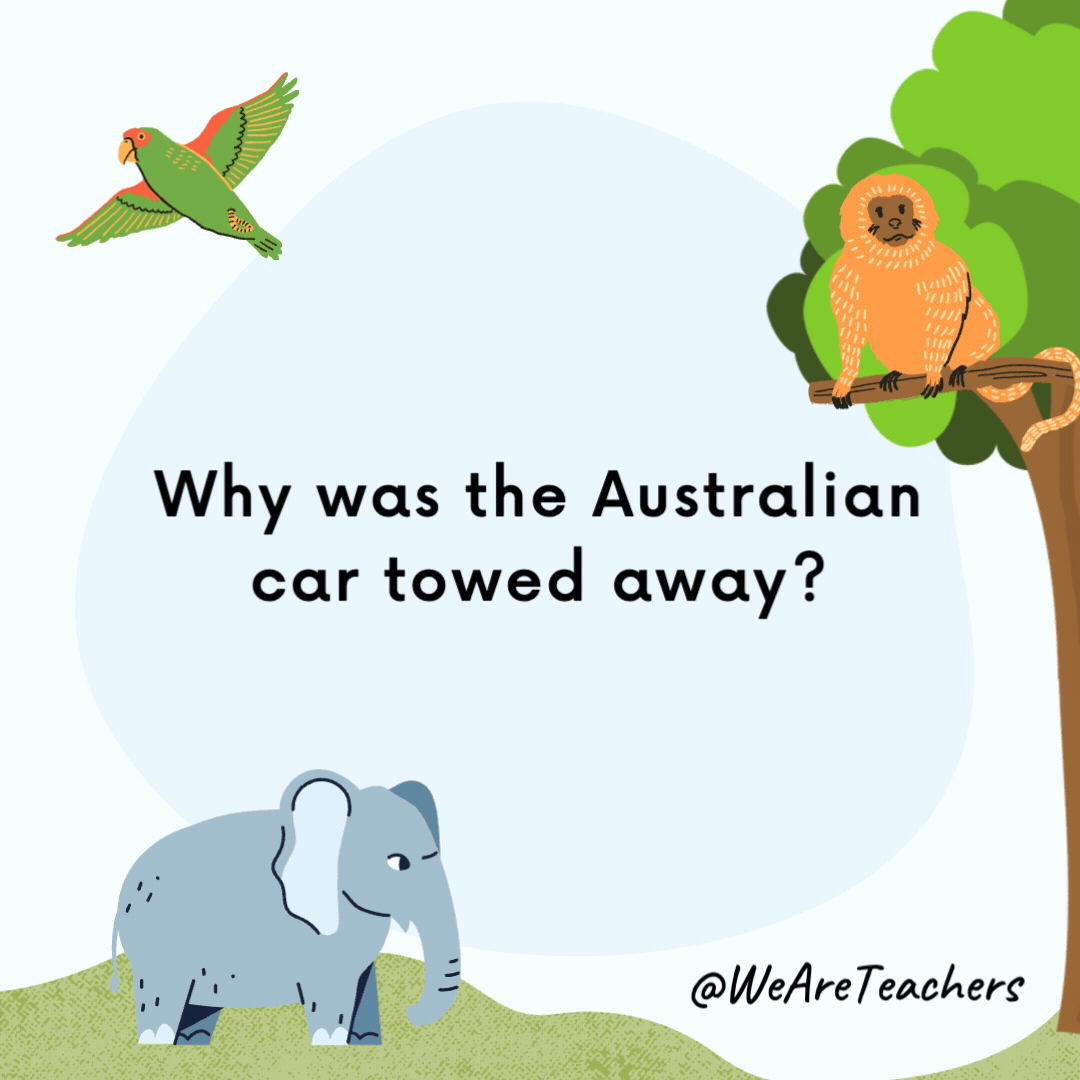 Why was the Australian car towed away? It dingo. Why was the Australian car towed away?
It dingo.