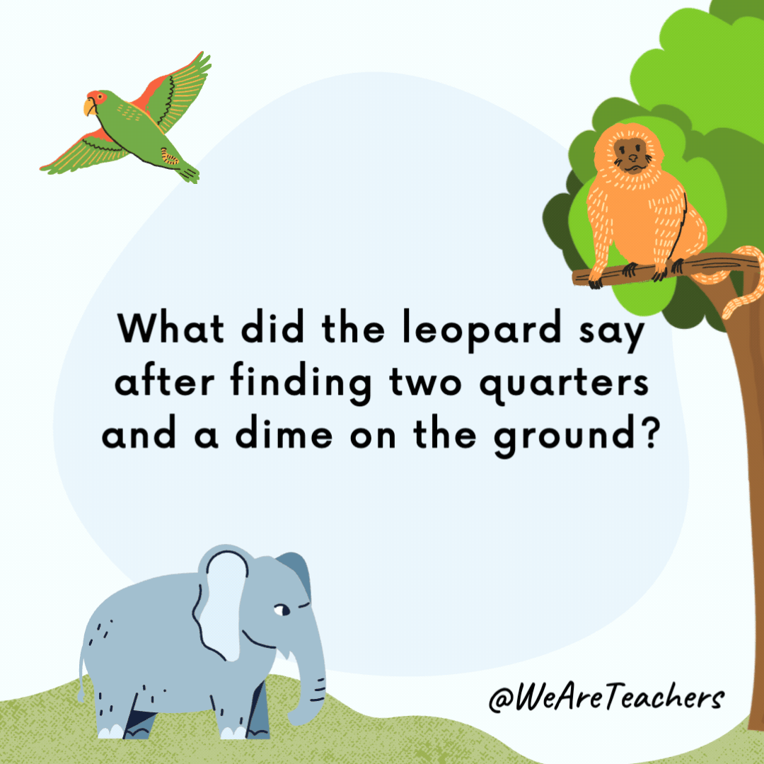 What did the leopard say after finding two quarters and a dime on the ground? “And they say a leopard can’t spot his change.” What did the leopard say after finding two quarters and a dime on the ground?
"And they say a leopard can't spot his change."