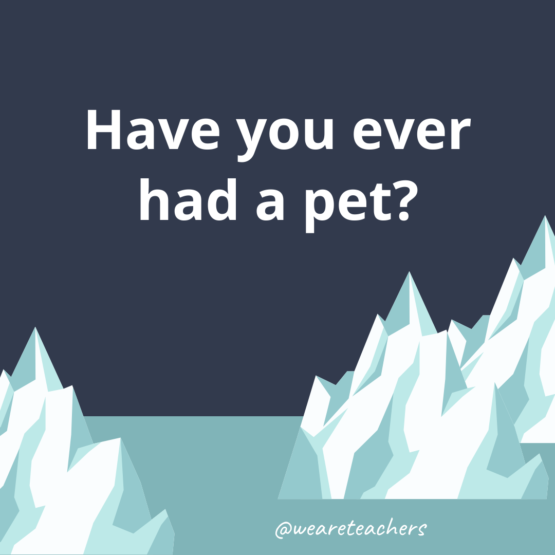 Have you ever had a pet? Have you ever had a pet?