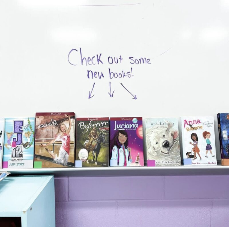 books-on-ledge books on a chalkboard ledge with check out these books written above it