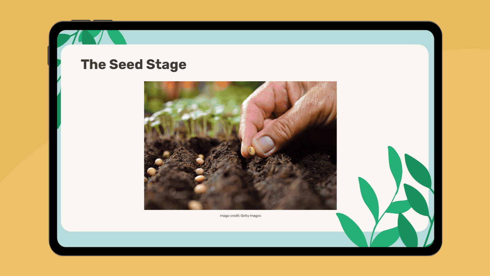 Plant Life Cycle Slideshow Tablet featuring slides from a plant life cycle for kids slideshow.