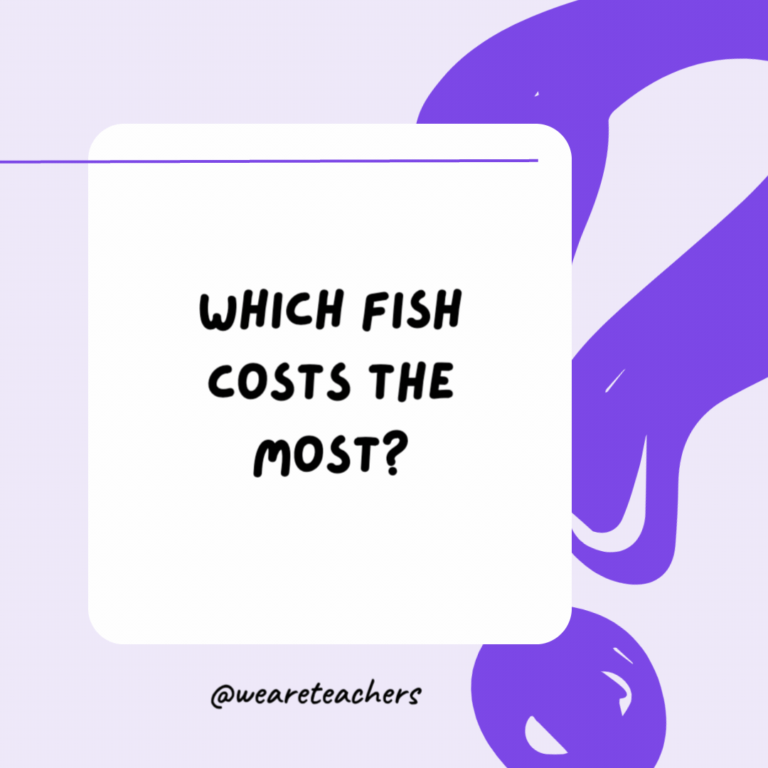 Which fish costs the most? A goldfish. Which fish costs the most?
A goldfish.