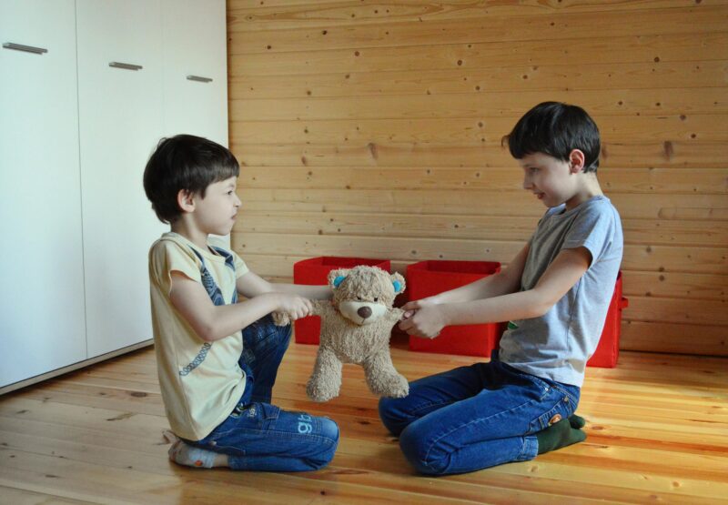 Children Pulling on Teddy Two children pulling on a teddy bear