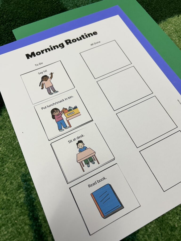 Morning routine visual schedule on a green rug.