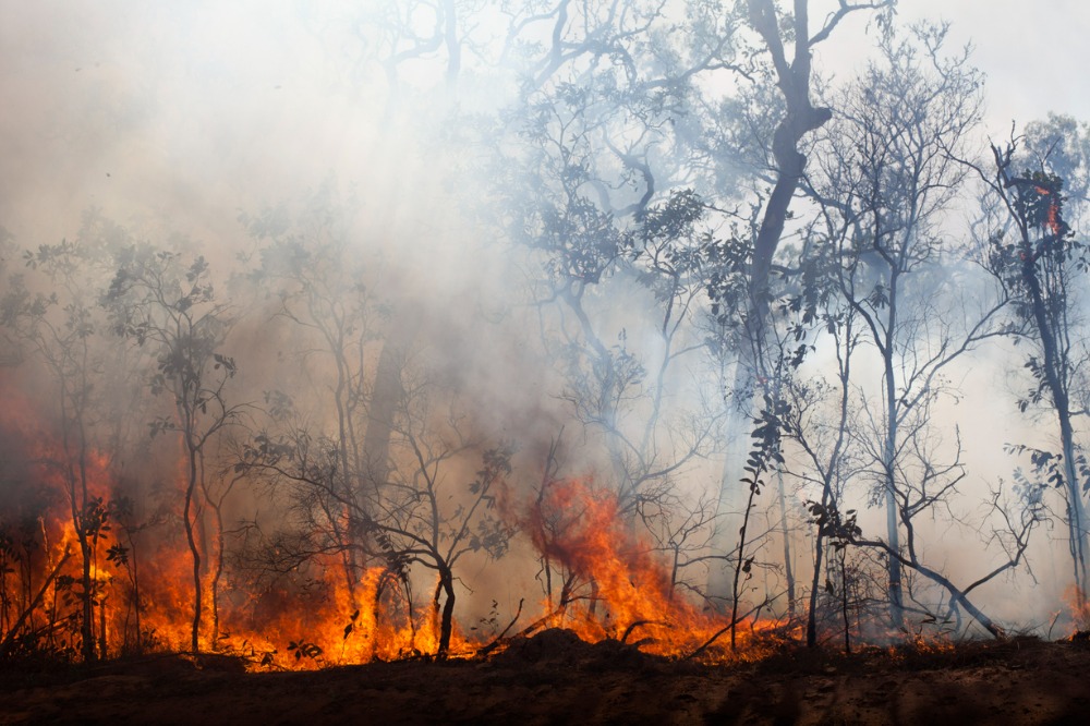 Indigenous knowledge shape UNSW bushfire research