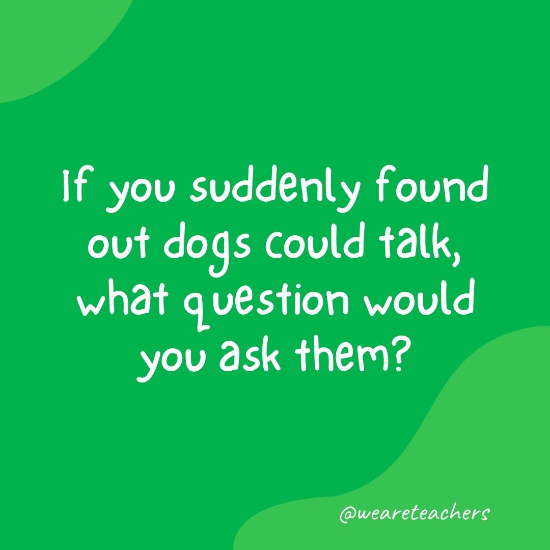 Morning Meeting 11 Morning meeting questions: If you suddenly found out dogs could talk, what question would you ask them?