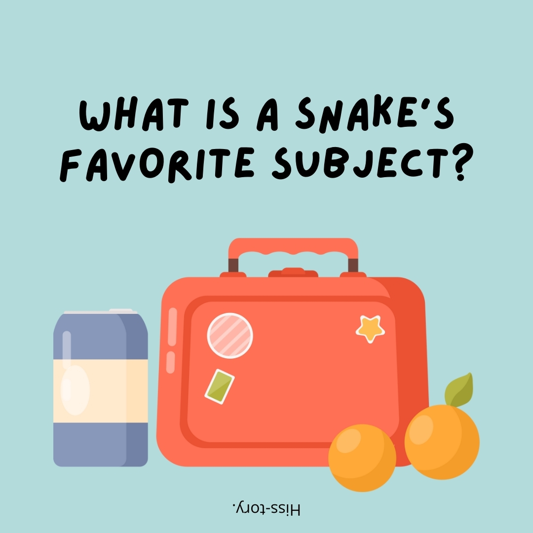 What is a snake's favorite subject?

Hiss-tory.