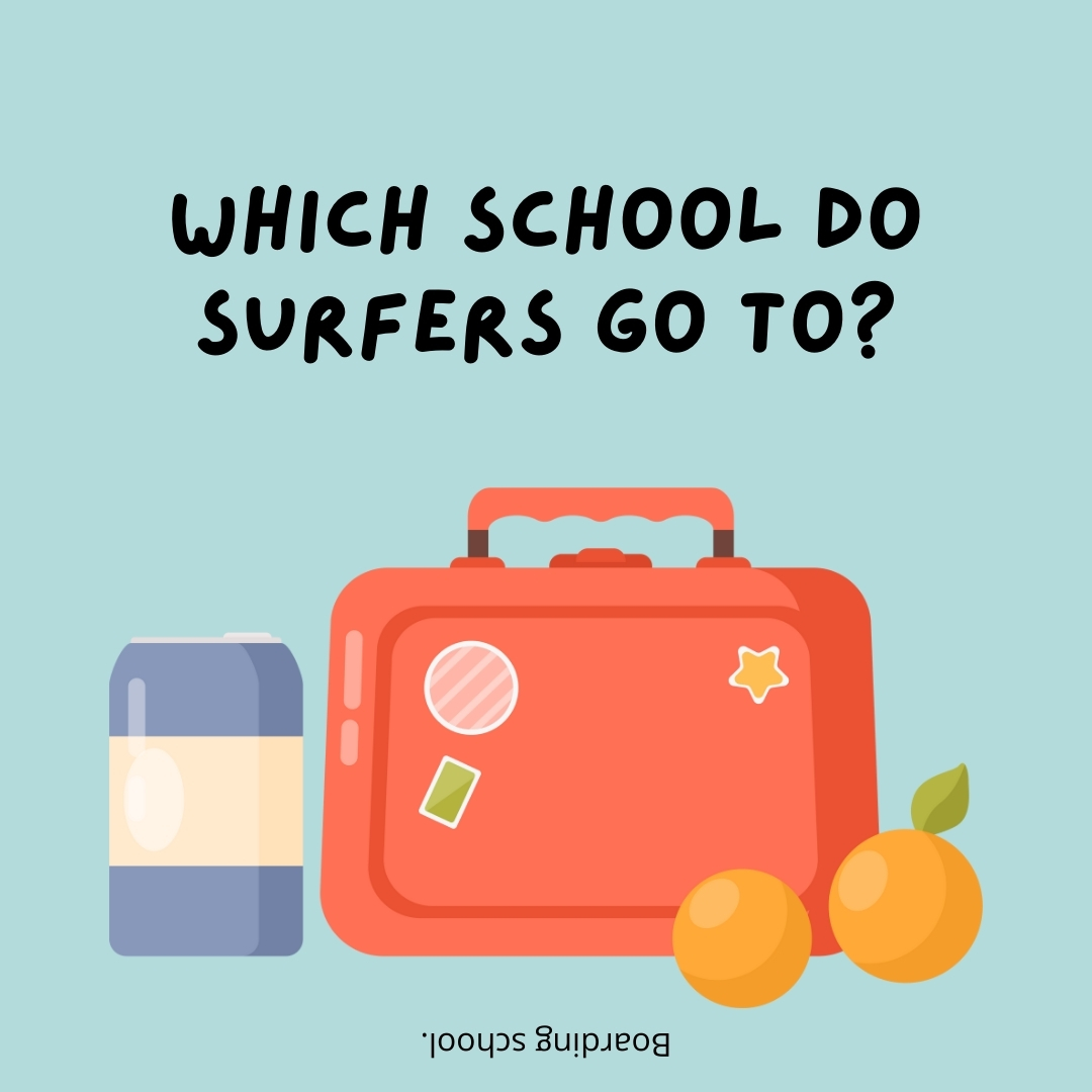 Which school do surfers go to?

Boarding school.
