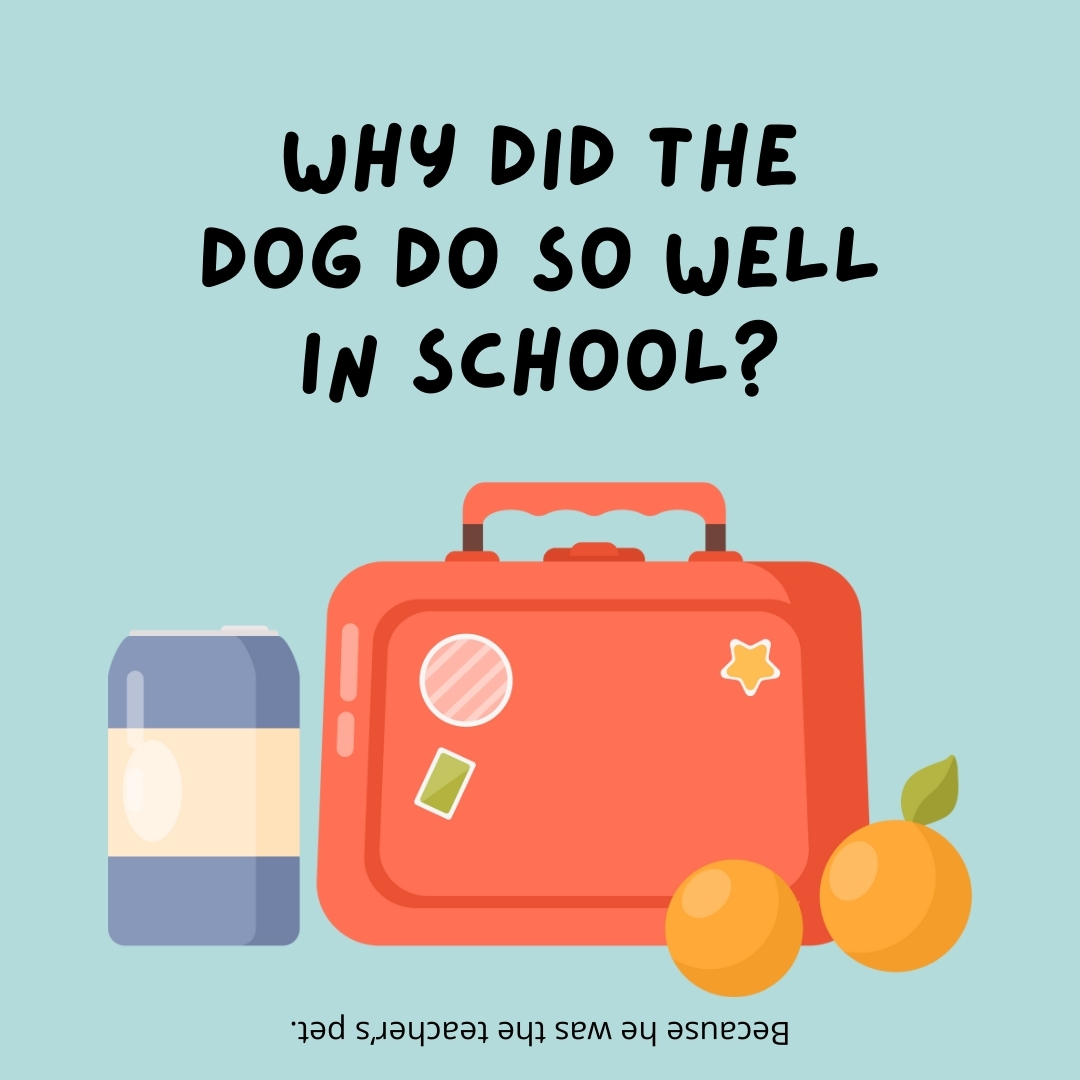 Why did the dog do so well in school?

Because he was the teacher's pet.- lunch box jokes