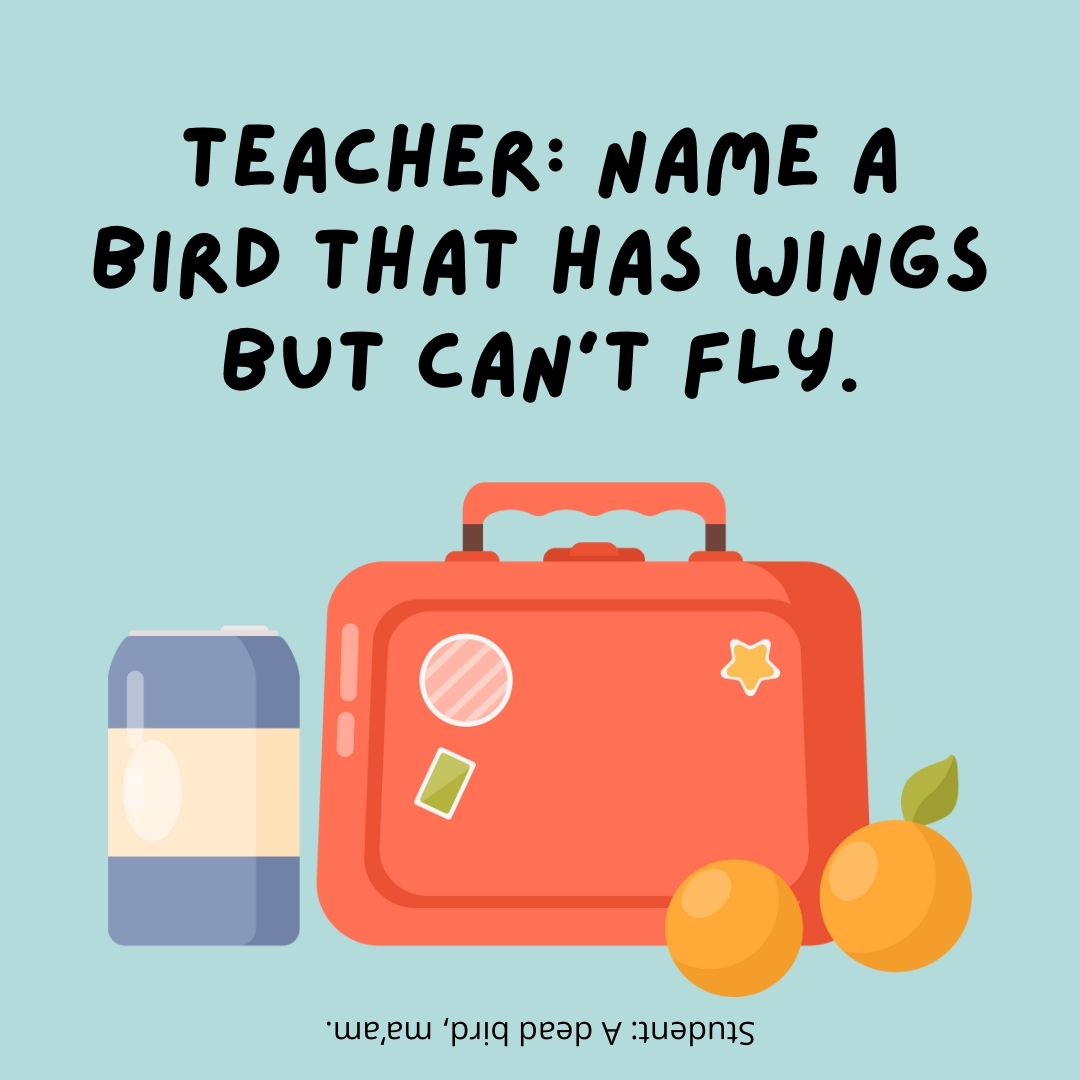 Teacher: Name a bird that has wings but can't fly.

Student: A dead bird, ma'am.